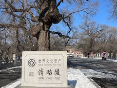 -北陵公园