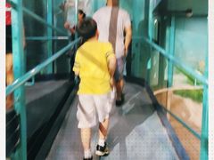-悉尼海洋生物水族馆