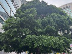 -麗枫酒店(重庆解放碑中心店)