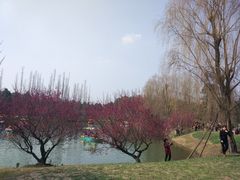 -秀丽东方