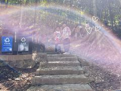 -上海佘山国家森林公园天马山园