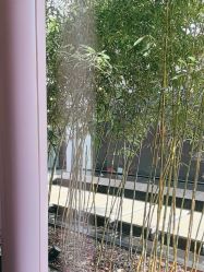 -爱儿美儿童摄影(朝阳公园店)