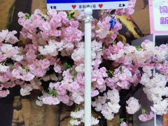 -上海大自然野生昆虫馆