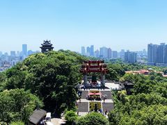 -黄鹤楼公园(黄鹤楼)