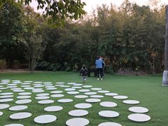 -森波拉奇妙世界