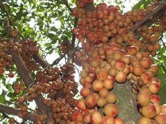 -人民公园(罗湖区)