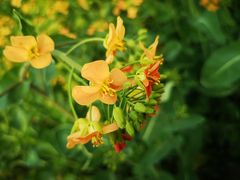 -中国天府农业博览园