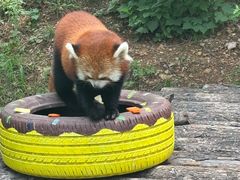 -大连森林动物园