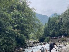 -西岭雪山大飞水景区