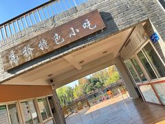 -上海滨江森林公园