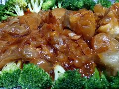-东来菜馆•手抓海鲜家常菜•海鲜锅贴(鸽子窝店)