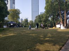 -重庆市江北嘴中央商务区中央公园