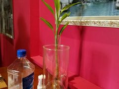 -Sala Thai Restaurant