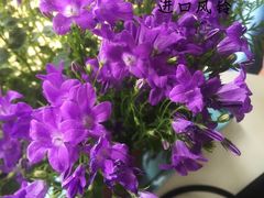 -京贸物联批发市场