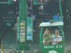 -野象谷景区