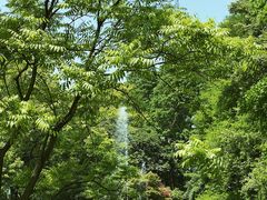 -上海共青森林公园