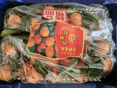 -沈阳市八家子水果批发市场