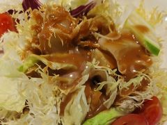 -老平安农家菜(平安店)