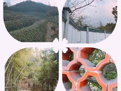 -余姚阳明温泉山庄