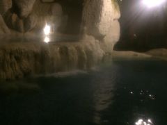 -中铁花水湾温泉酒店(大邑店)