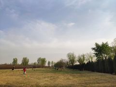 -汉长安城未央宫国家考古遗址公园