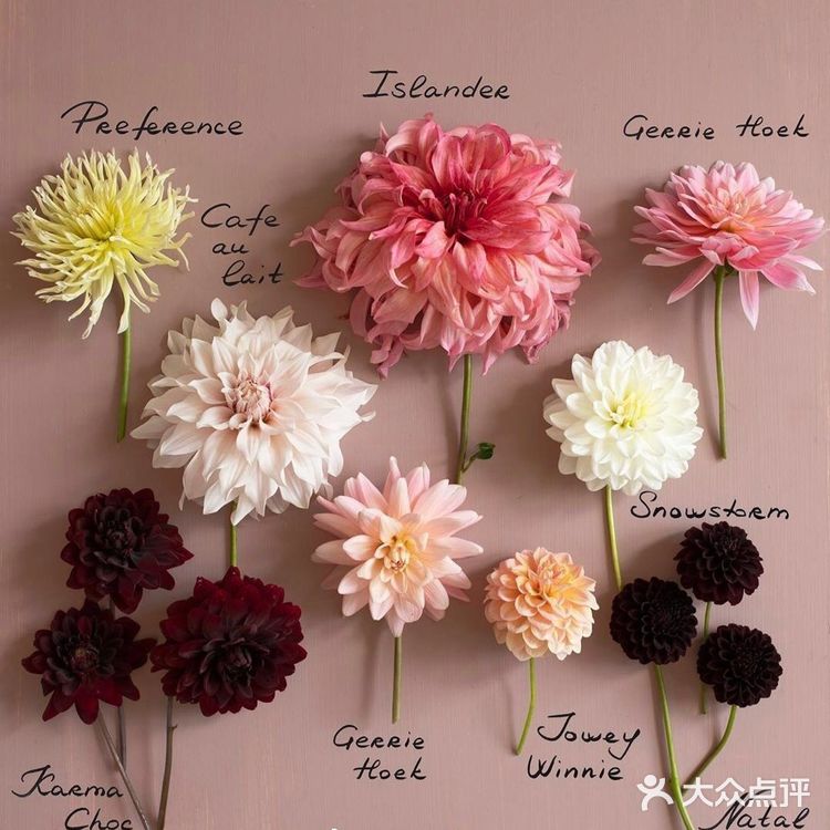 岁月如花，笑看花开，静赏花落是人生的一种极致