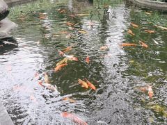 -名树园