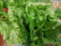 生菜-蜀中烤霸·自助烤肉(郫都店)