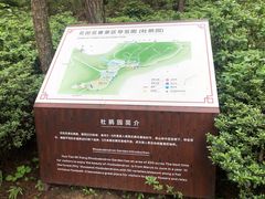 -铁山坪森林公园