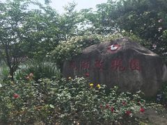 -鹅湖玫瑰文化园
