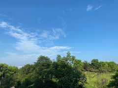 -洪湖悦兮半岛国际温泉度假村