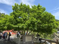 -潭柘寺景区