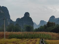 -明仕田园