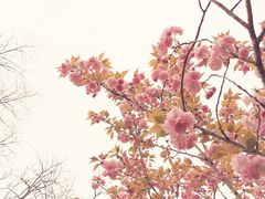 -江苏三台山国家森林公园
