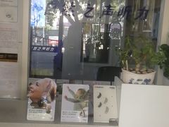 -自然之声助听器(平凉店)