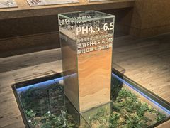 -香市公园-中国沉香文化博物馆