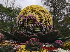 -共青国家森林公园-售票处