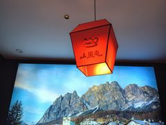 -山里屯铁锅炖(康桥店)