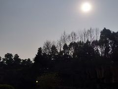 -宜兴龙背山森林公园