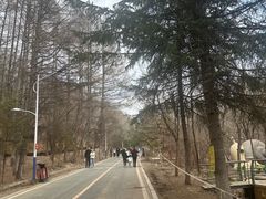 -吉林市朱雀山国家森林公园