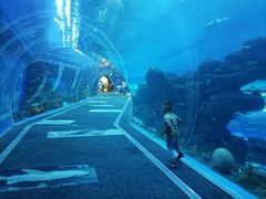 -成都浩海立方海洋公园