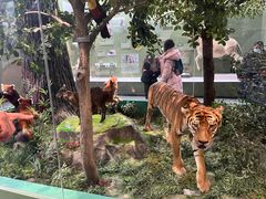 -国家自然博物馆