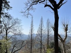 -莫干山风景区