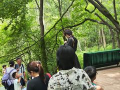 -帽儿山风景区