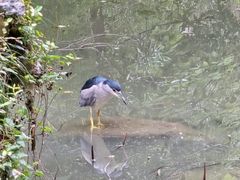 -新江湾城公园