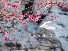 -静安雕塑公园