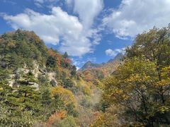 -沣峪口