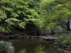 -杭州植物园