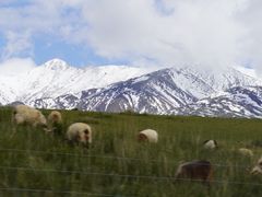 -日月山景区