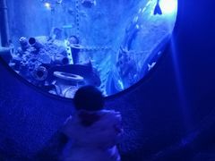 -成都浩海立方海洋公园